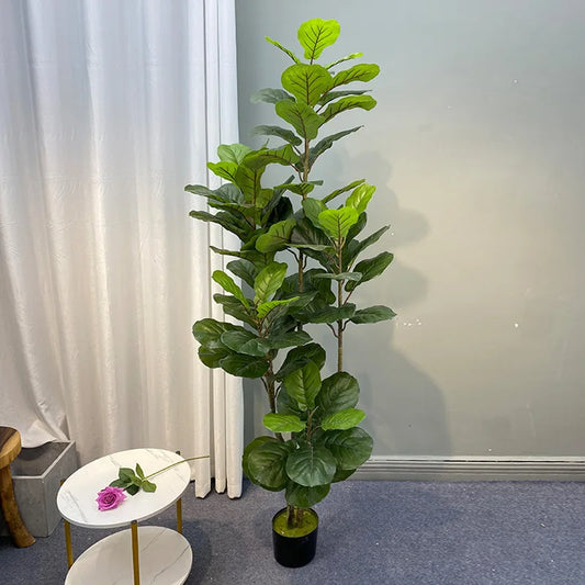 Large Banyan Ficus Tree