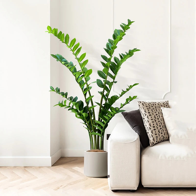 Fake Ficus Tree Artificial Money