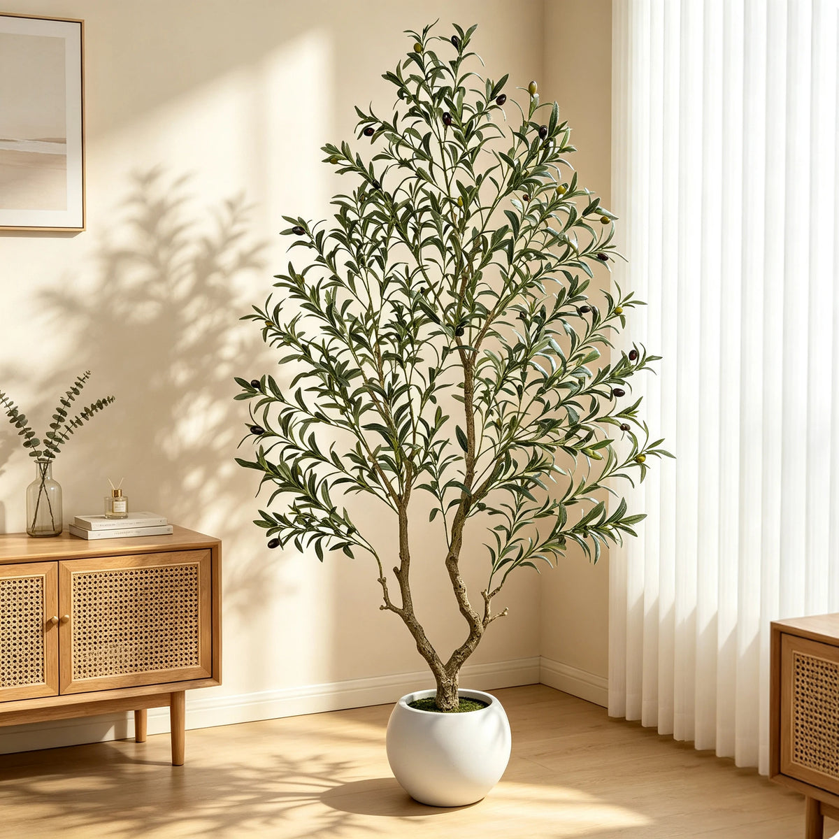 Olive Tree in Planter
