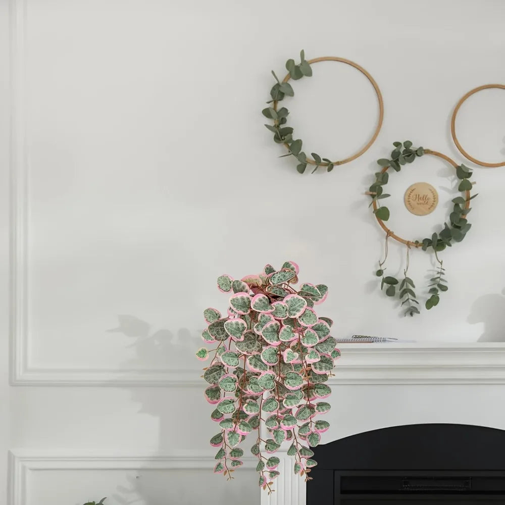 Hanging Eucalyptus Vine