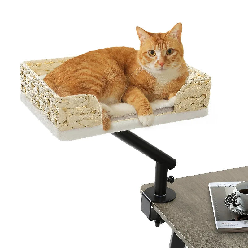Rotating Cat Desk Bed