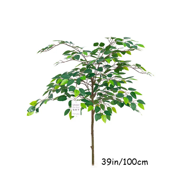Banyan Ficus Tree 70in