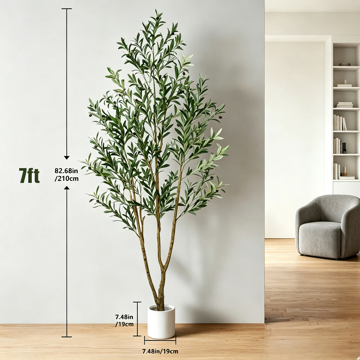 Olive Tree in Tall Planter