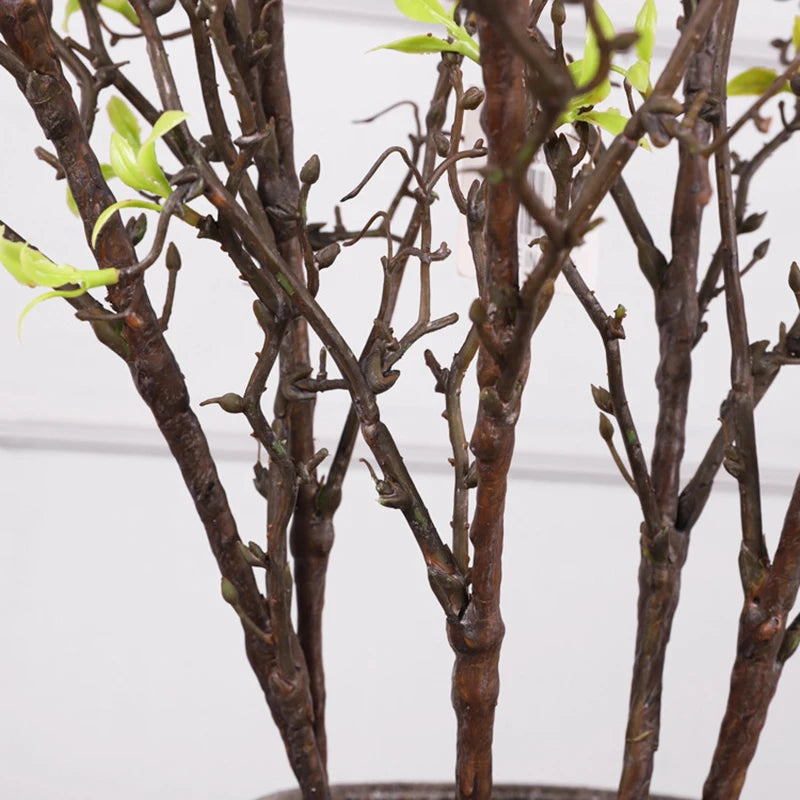 Dry Willow Branch Bundle
