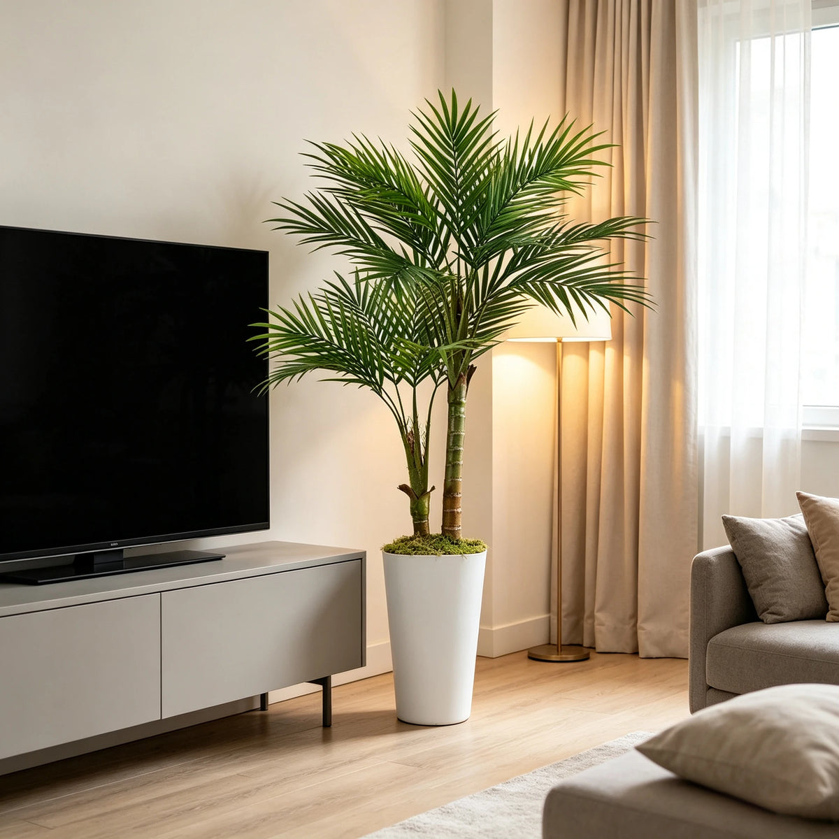 Areca Palm in White Planter