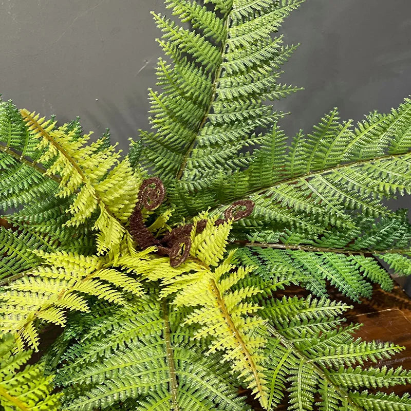 Boston Fern Bush Set