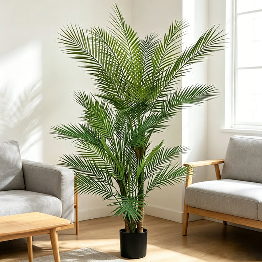Triple Trunk Palm Tree