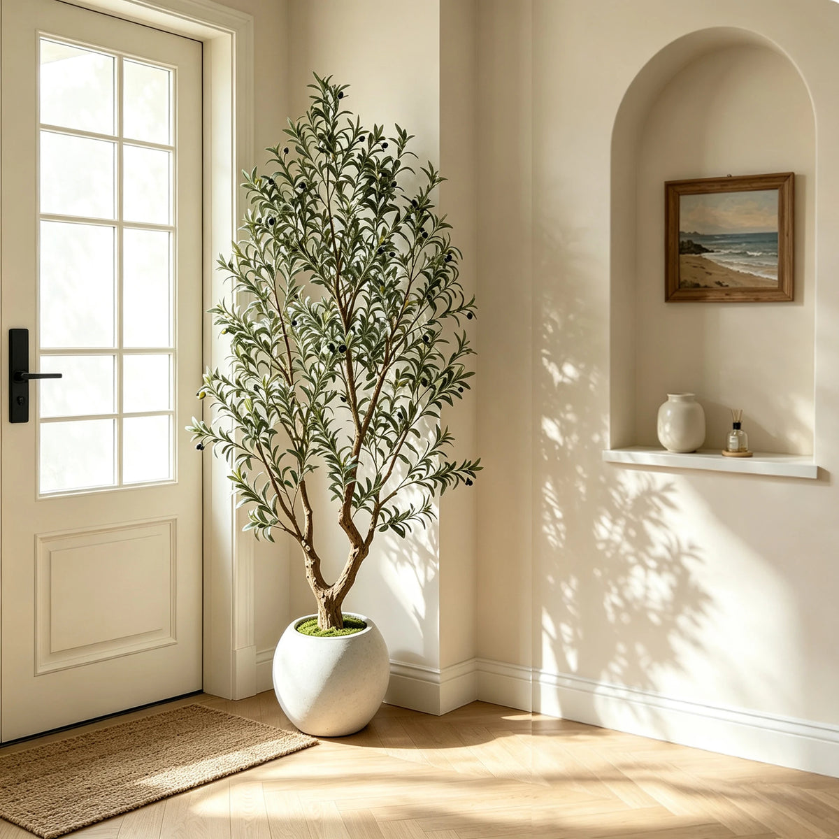 Olive Tree in Planter