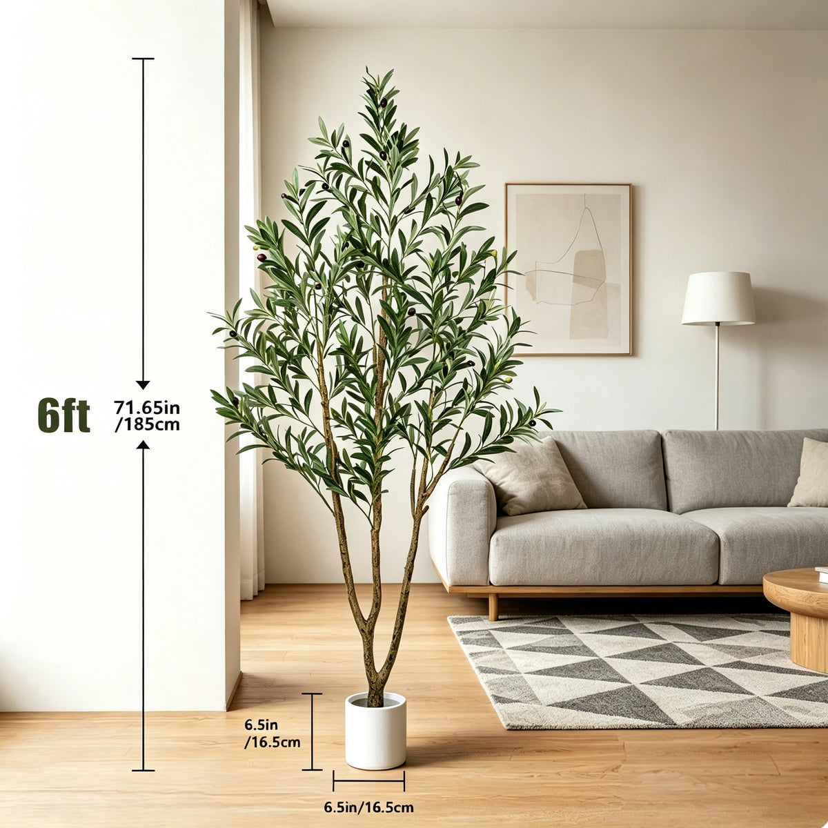Olive Tree in Tall Planter