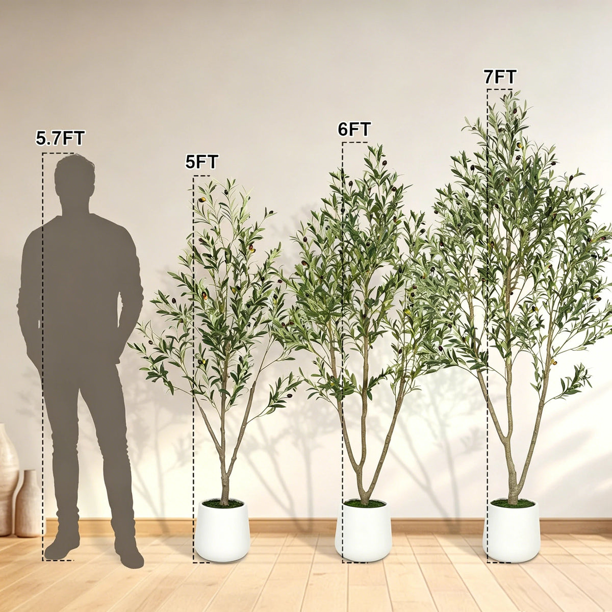 Olive Tree in Tall Planter