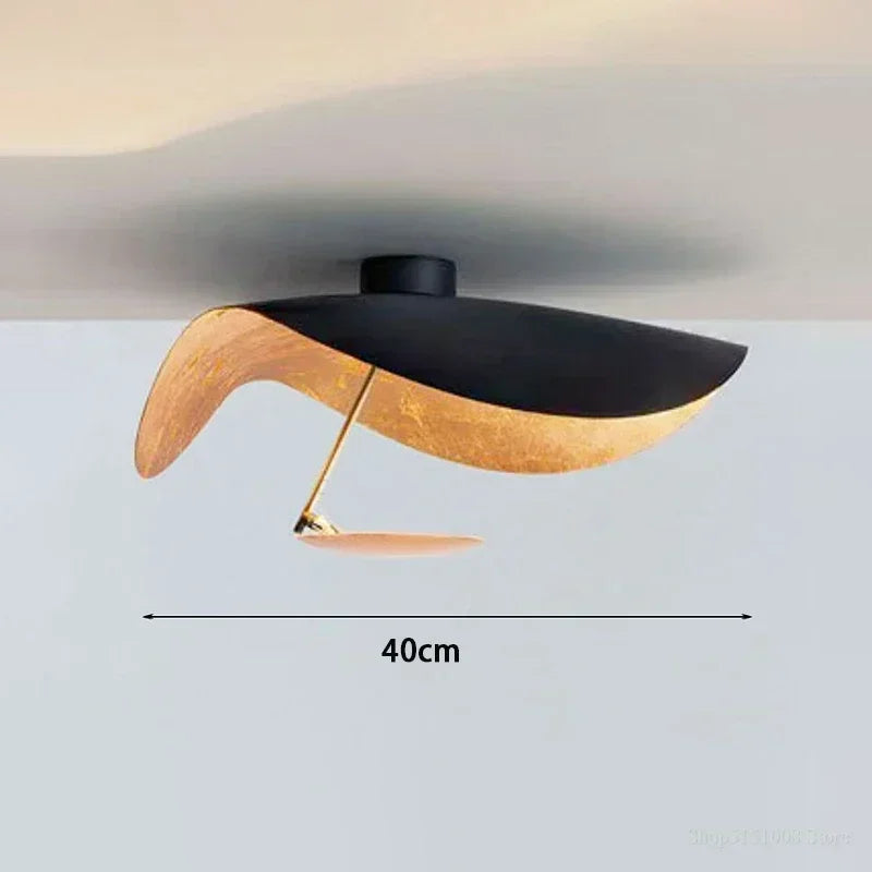 Modern Black and White LED Ceiling Lamp