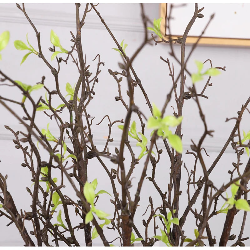 Dry Willow Branch Bundle