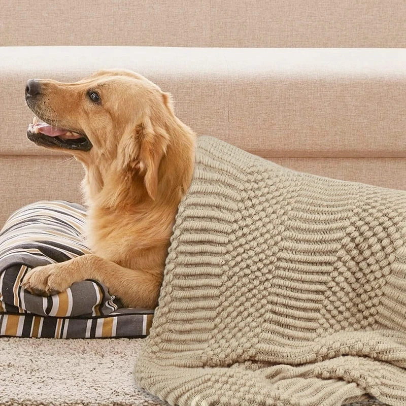 Oversized Knit Throw