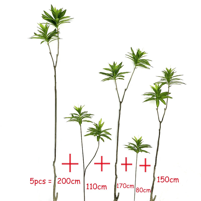 Banyan Ficus Tree 70in