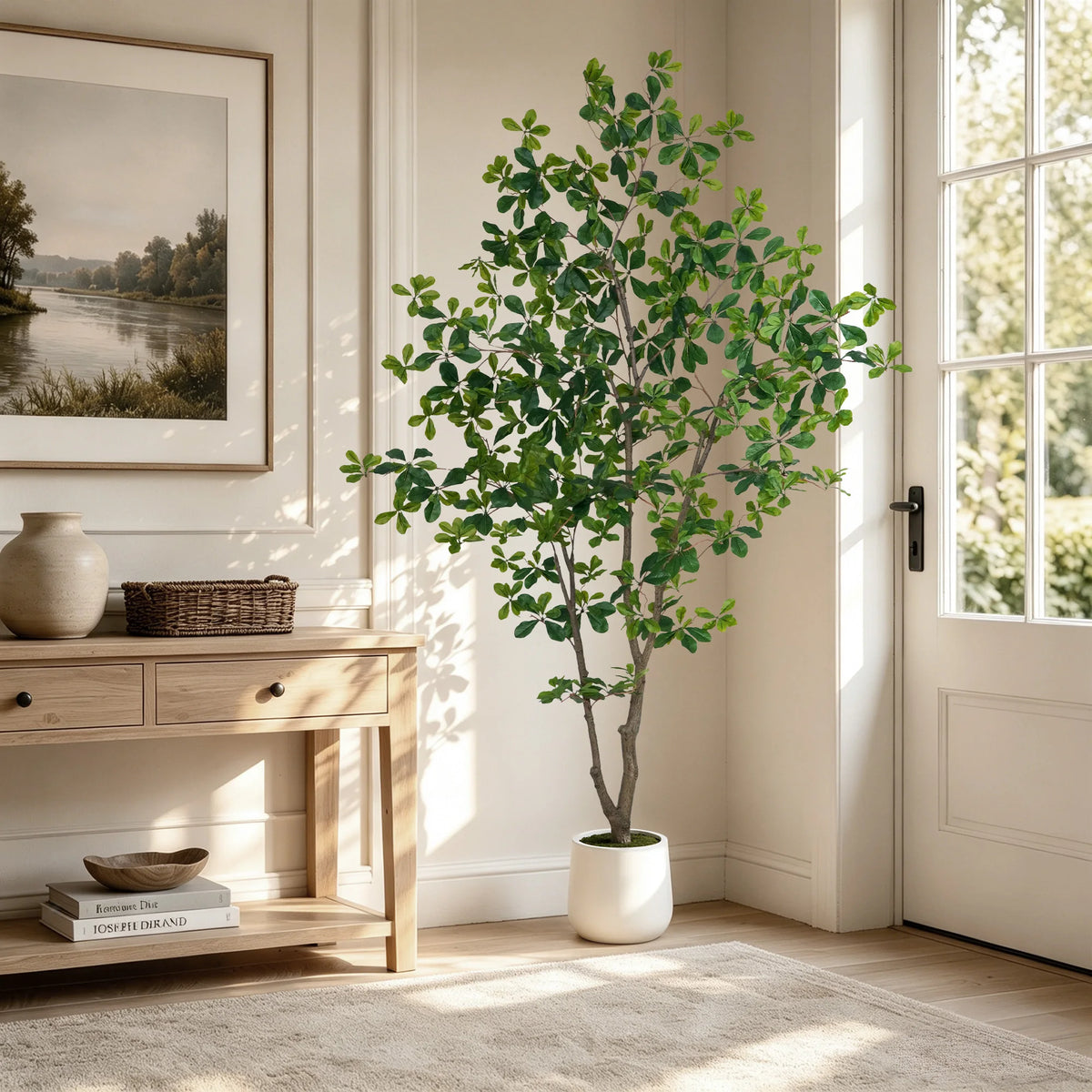 Black Olive Tree in White Pot