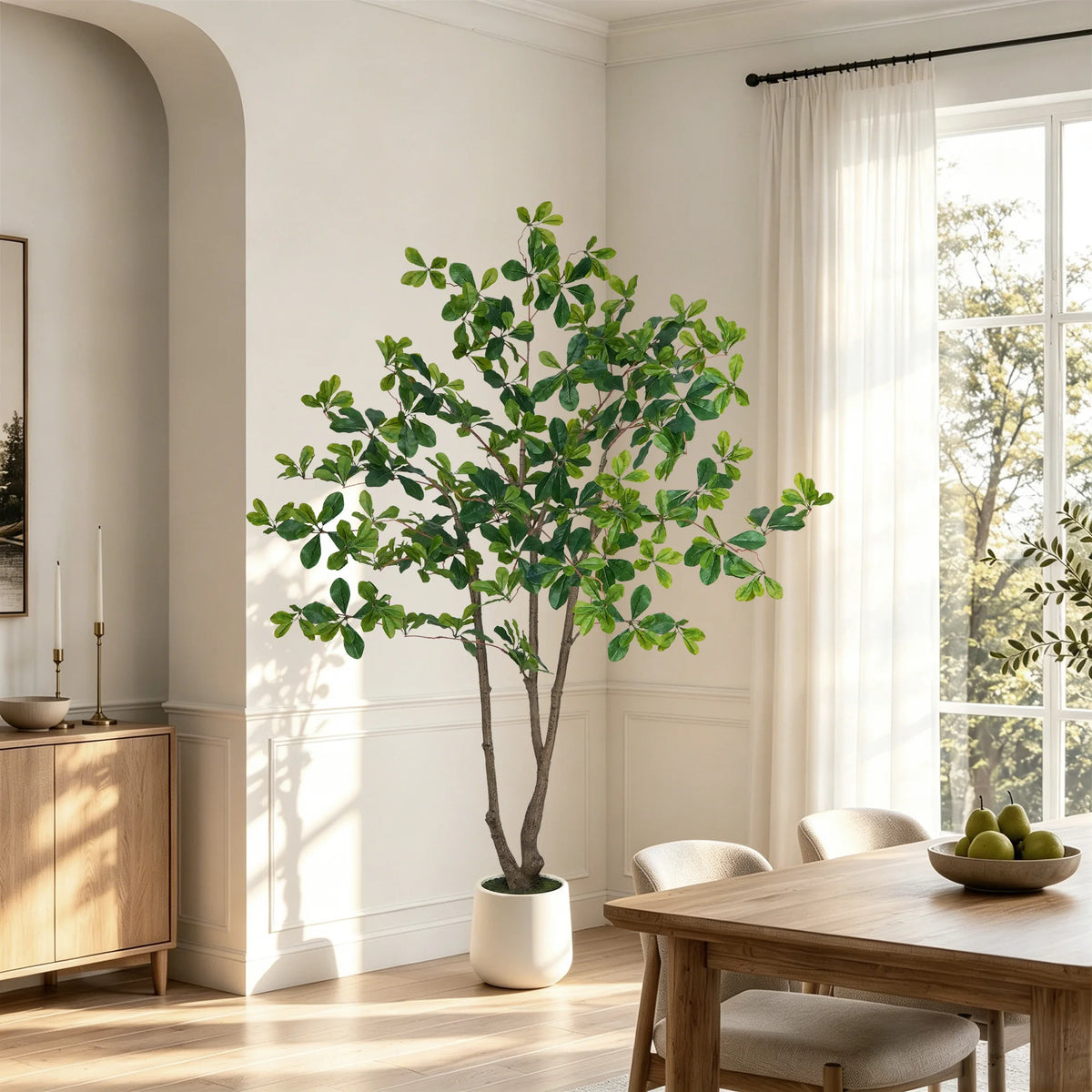 Black Olive Tree in White Pot