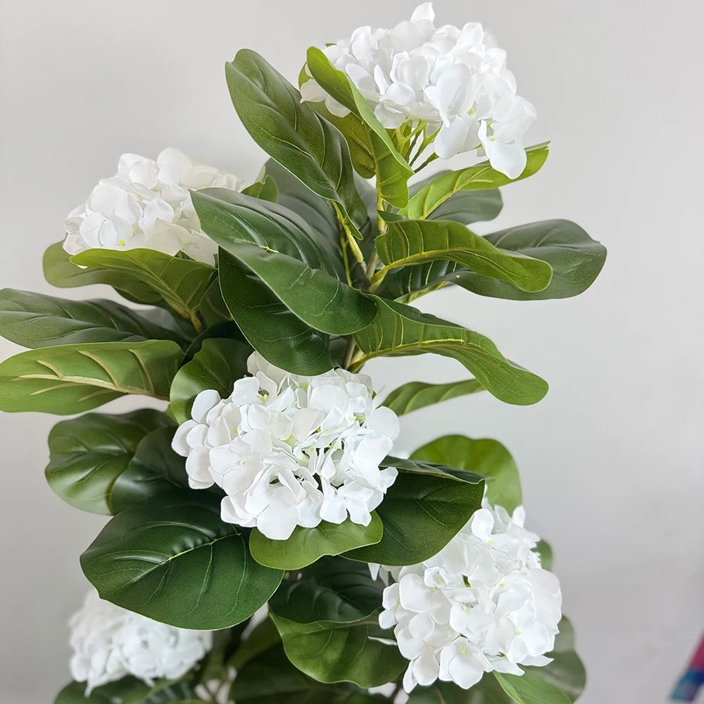 Fiddle Fig with Hydrangea