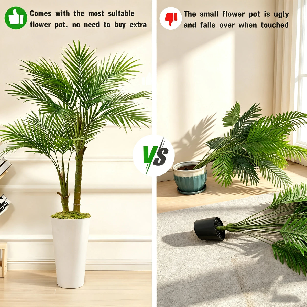 Areca Palm in White Planter