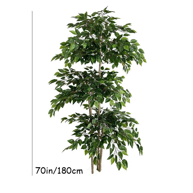 Banyan Ficus Tree 70in