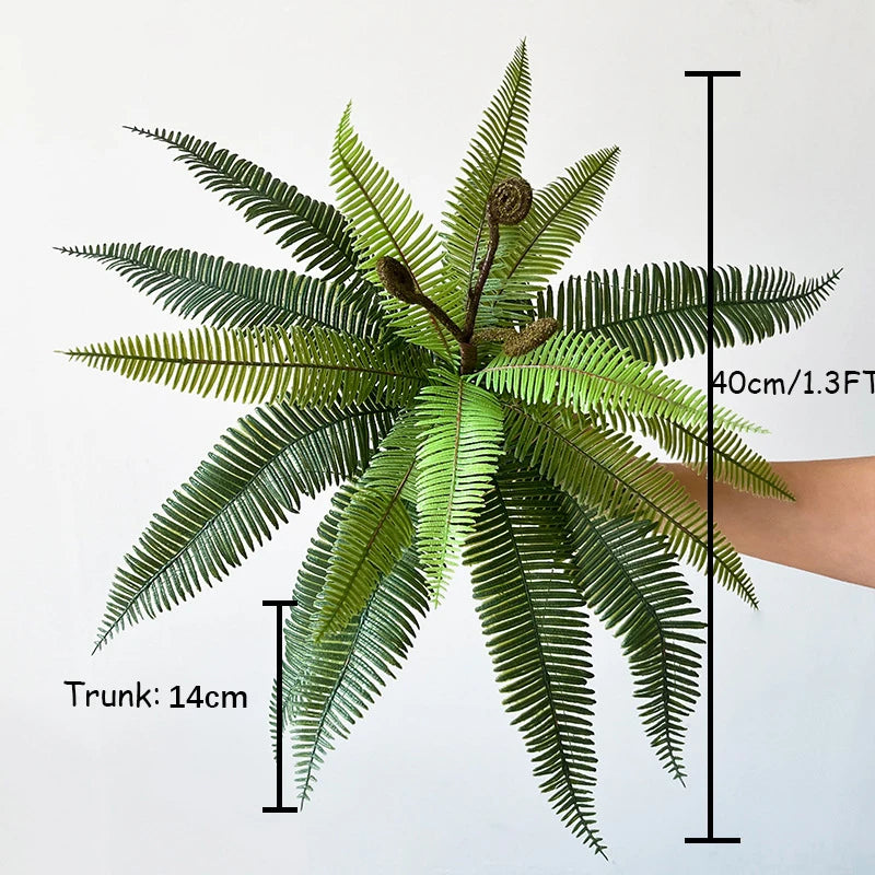 Boston Fern Bush Set