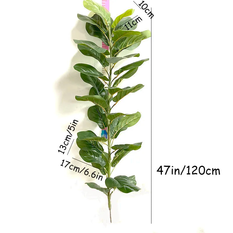 Large Banyan Ficus Tree