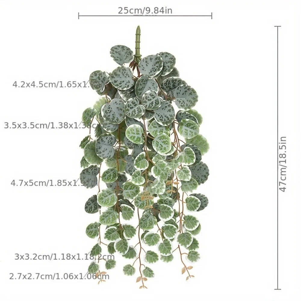 Hanging Eucalyptus Vine