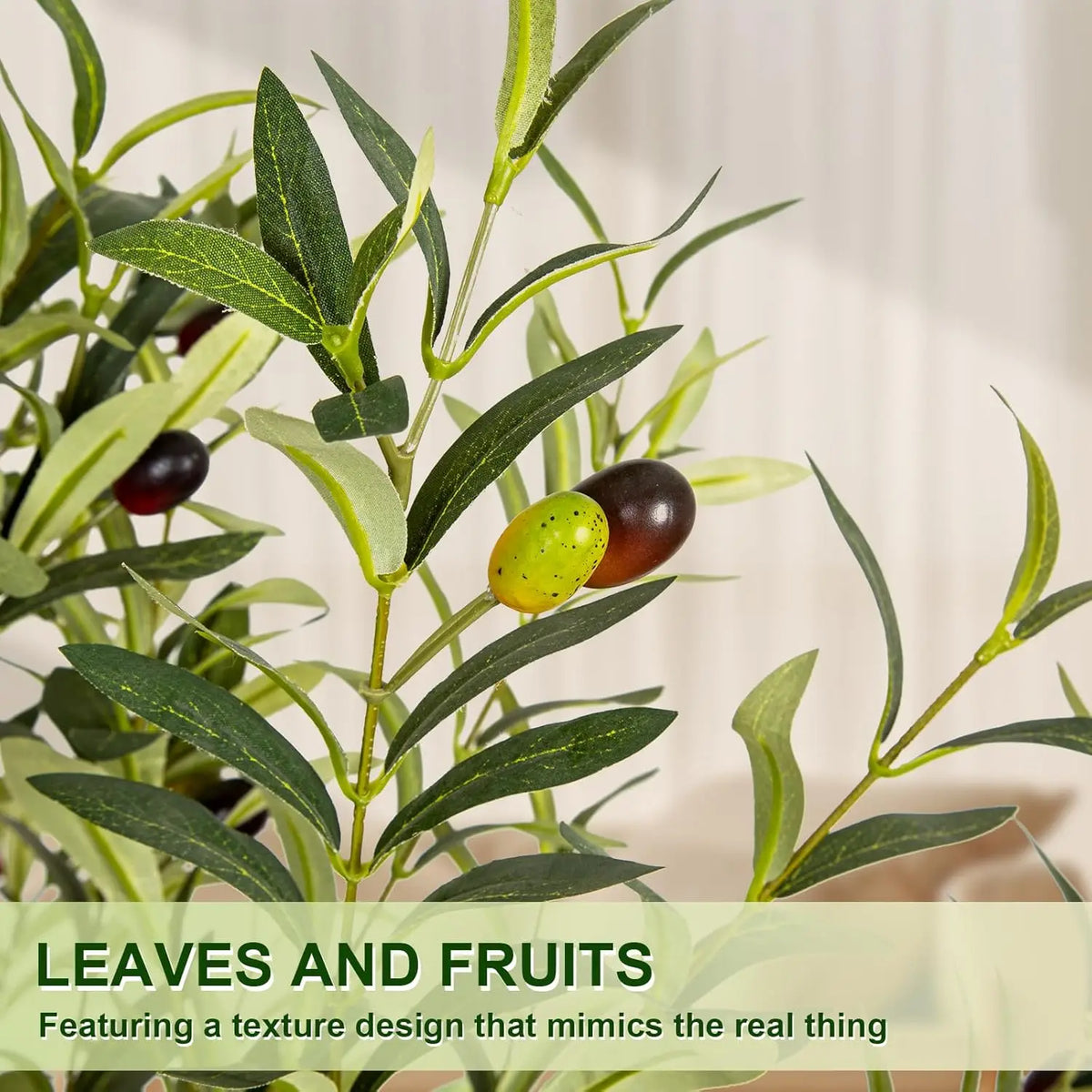 Olive Tree in Tall Planter