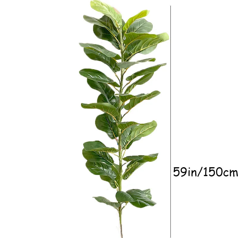Large Banyan Ficus Tree