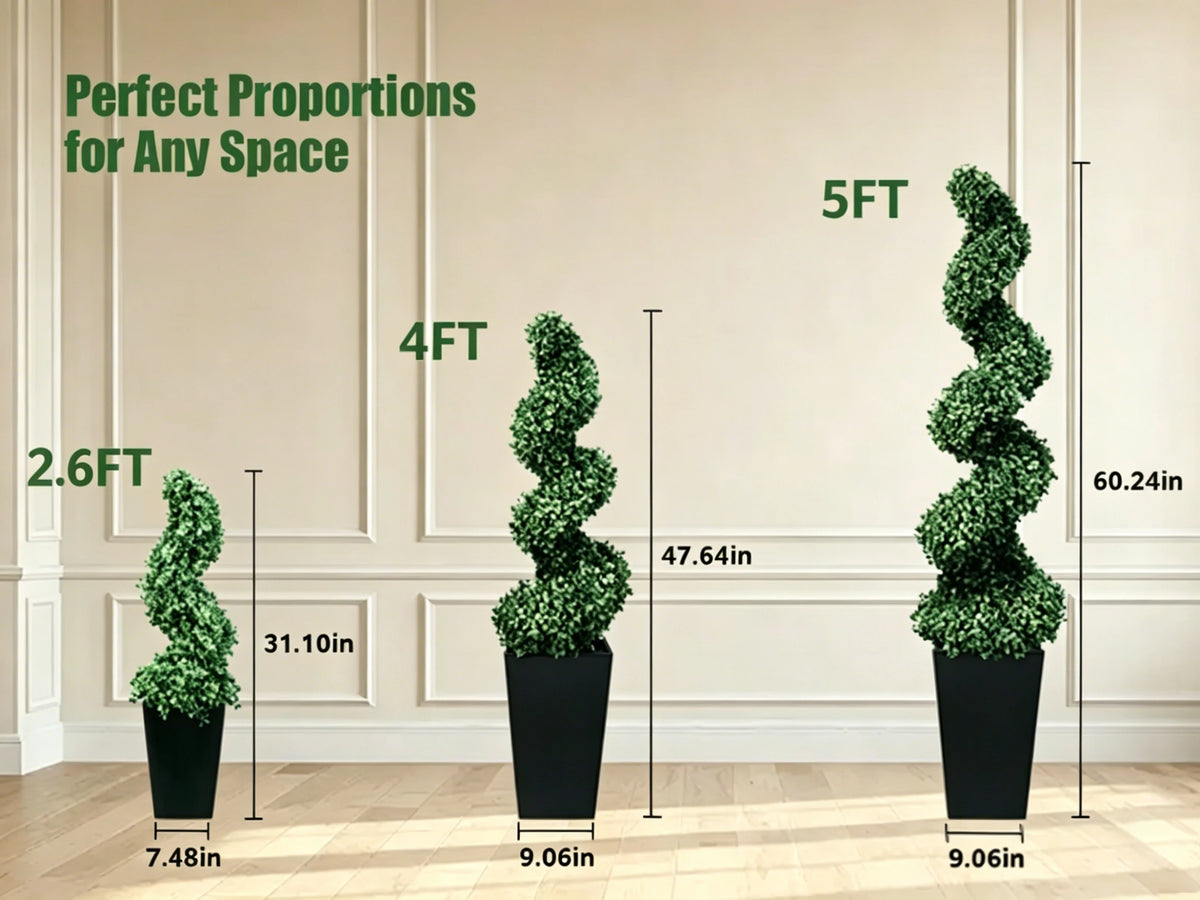 Spiral Boxwood Topiary Pair