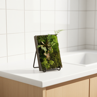 Moss Fern Glass Terrarium